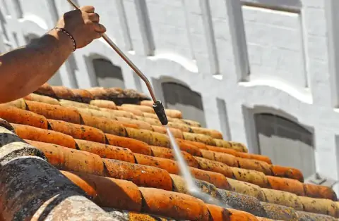 Nettoyage de toitures - Messein